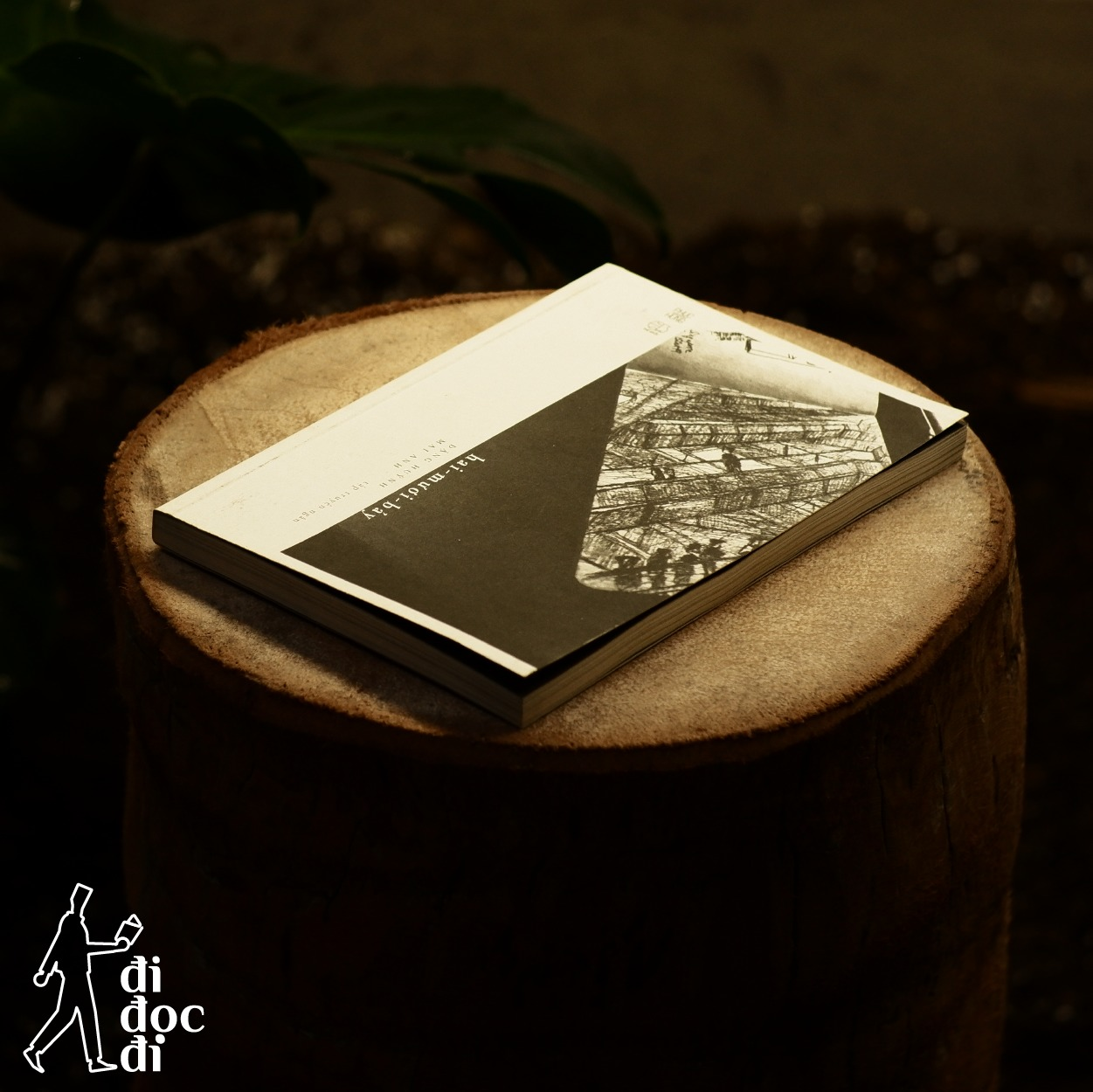 hai-mươi-bảy