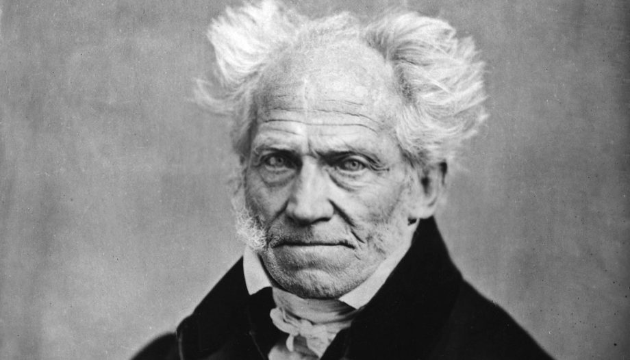 ĐỌC SIÊU HÌNH TÌNH YÊU CỦA SCHOPENHAUER (KỲ 1)
