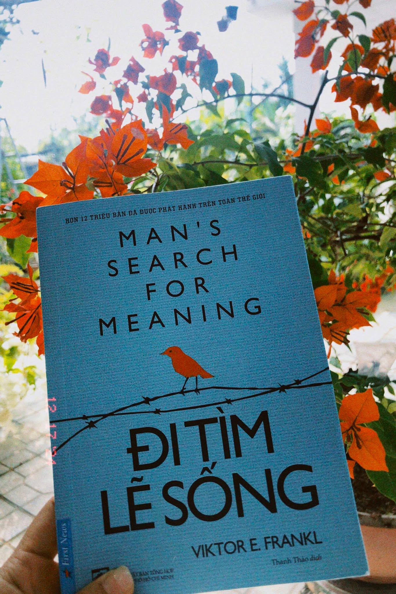 ĐI TÌM LẼ SỐNG